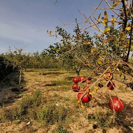 Busho Hébergement de vacances Náoussa