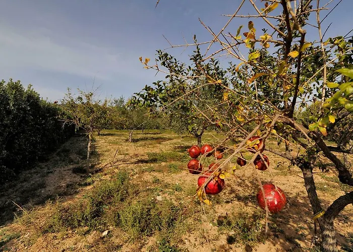 Busho Casa de Férias Naousa